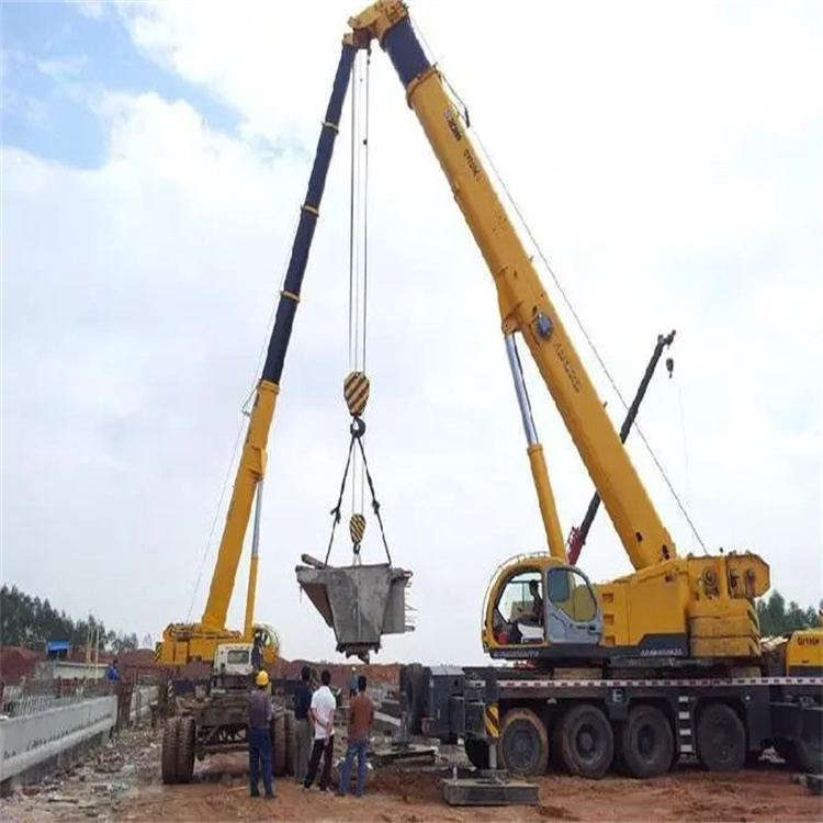 沙湖原种场小型吊机出租电话|厂房设备吊装方案|24小时服务覆盖