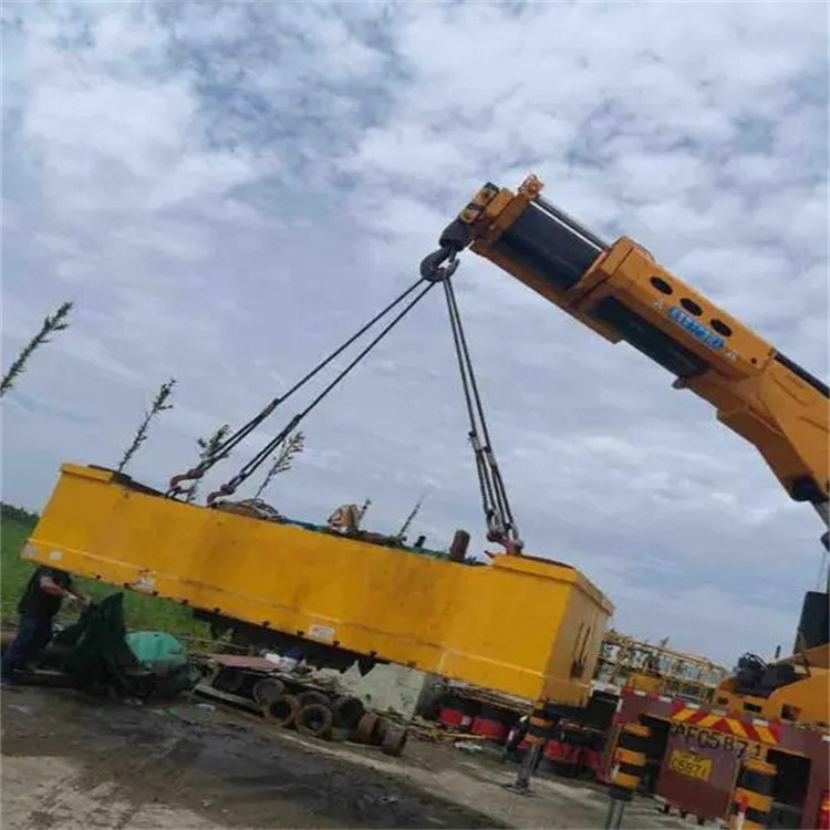 沙湖原种场吊运集装箱的吊车